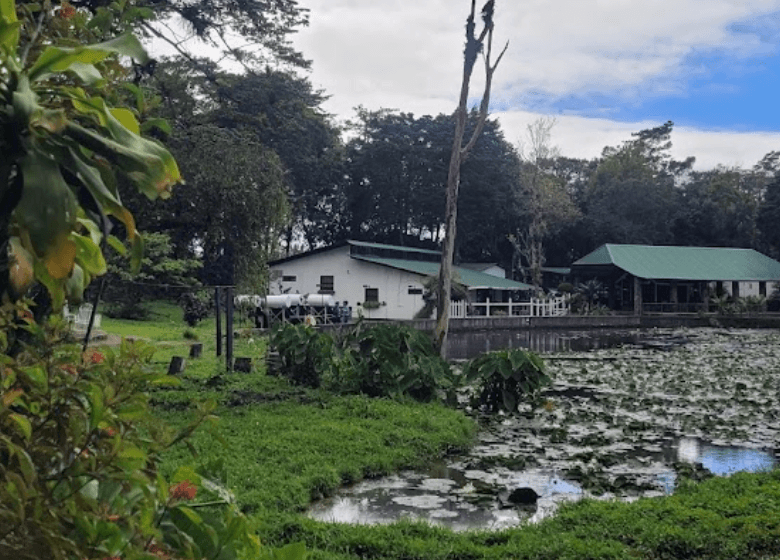 Selva Negra Ecolodge